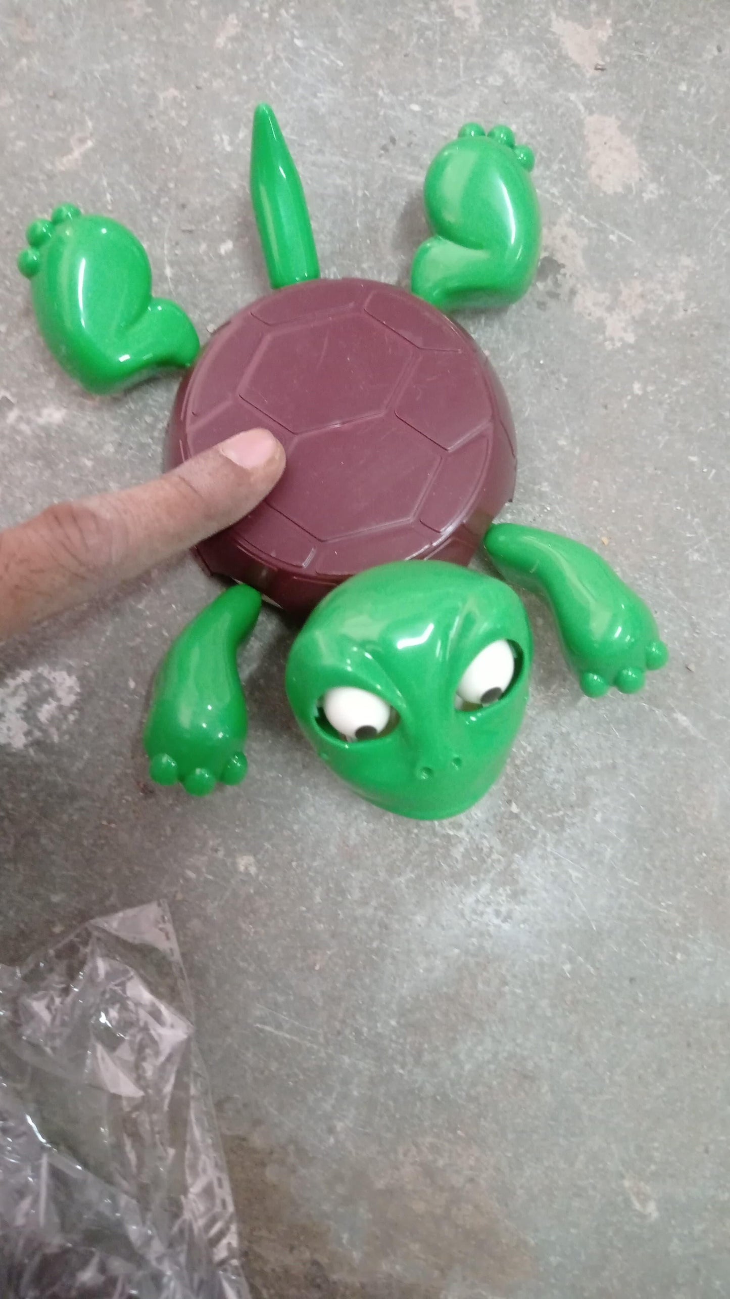 Premium Funny Turtle Coaster