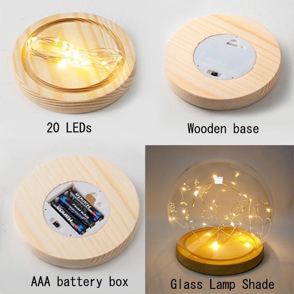 Premium Round Tulip Light